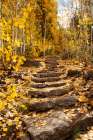 These stone stairs behind Sorensens Resort (now Wylder Hotel) Art Print